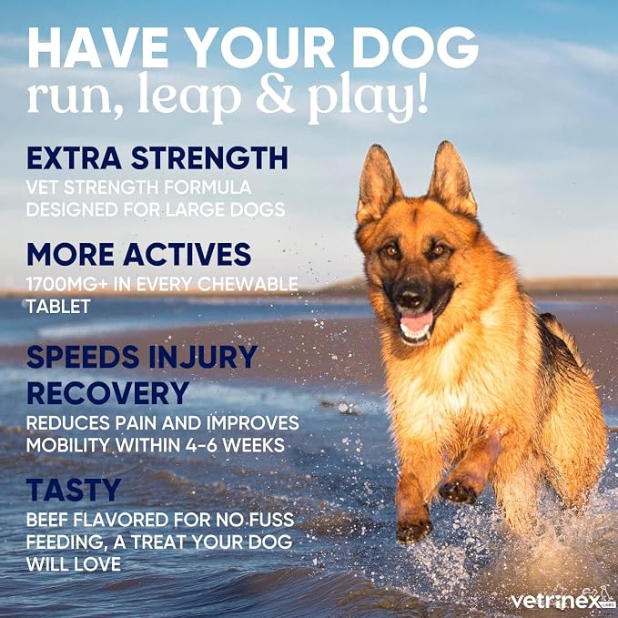 Joint Support Supplement for Large Dogs - Hip and Joint Chewable Tablets for Small, Medium & Large Breed Dogs with Glucosamine, Chondroitin, and MSM, Beef Flavor, 120 Tablets