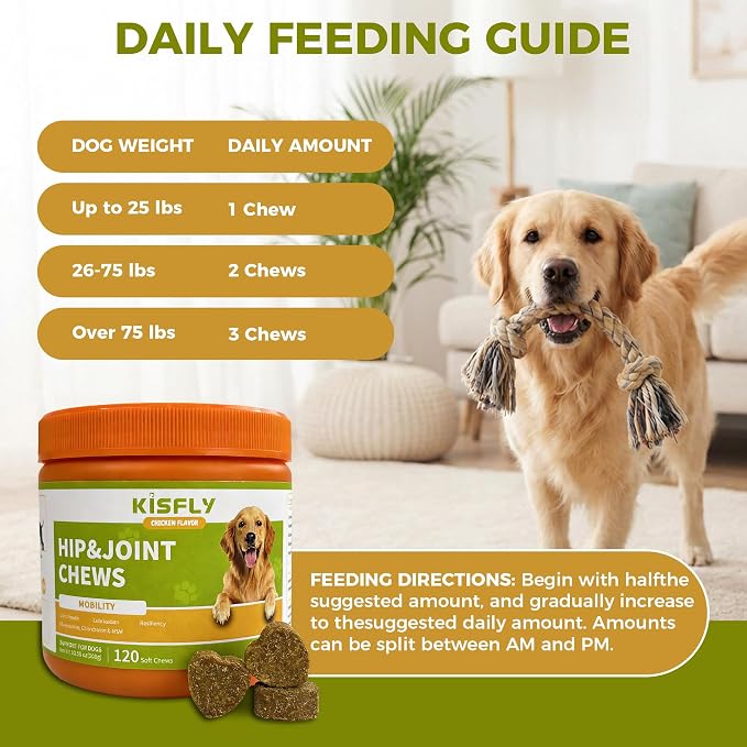 Hip & Joint Chews for Senior Dogs – Advanced Mobility Formula | Glucosamine, chondroitin & MSM soft chews support mobility, flexibility & daily activity for large and aging dogs.