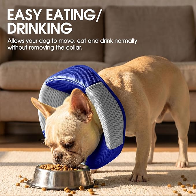 Dog Cone - Soft Cone for Dogs to Stop Licking, Pet E-Collar Alternative After Surgery, Adjustable Pet Recovery Collar for Wound Healing, Blue Medium