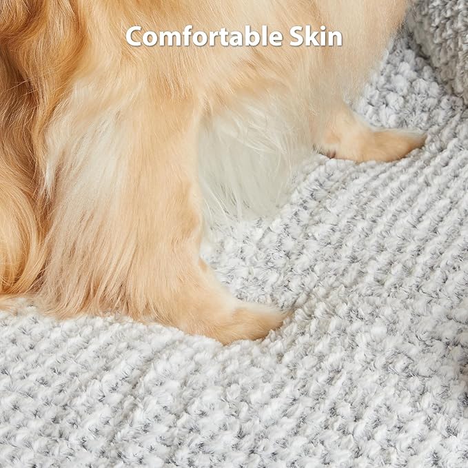 LEXTRO Orthopedic Dog Bed for Medium Dogs, Egg Crate Foam Bed for Medium Dogs, Equipped with Removable Waterproof Pillow Cover and Anti-Slip Bottom, Pet Bed
