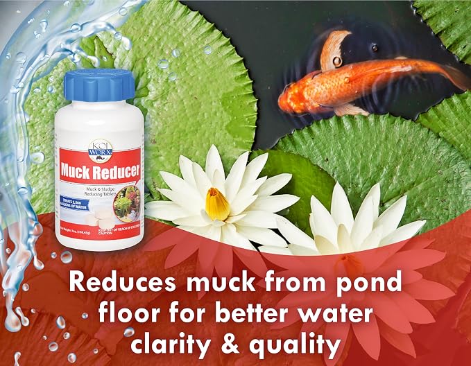 Koiworx Muck Reducer - Treats up to 2,500 gallons for up to 4 Months - Tablets Reduce Muck, Sludge and Organic Build up - Formulated for Ponds and Water Features - Safe for Koi
