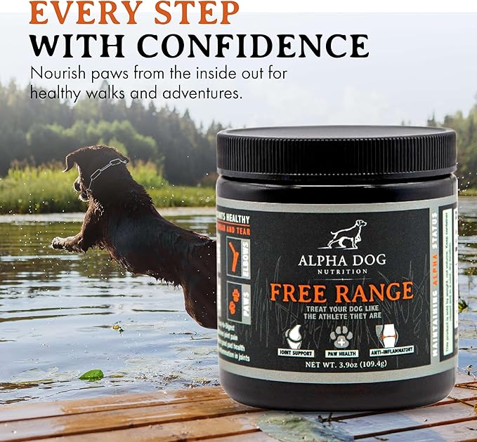 Active K9 Bundle: Free Range Joint Support + Resurgence Electrolytes