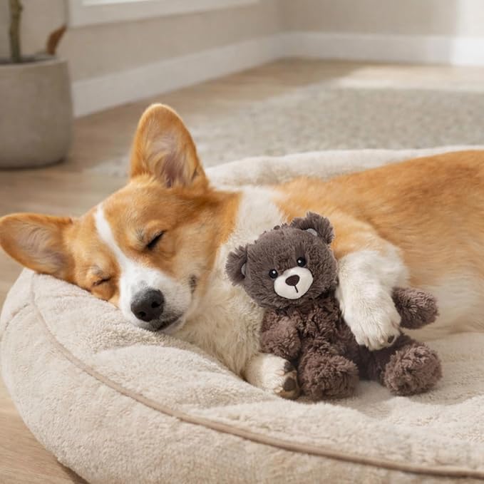 Calming Plush Dog Toy with Squeaker, Ultra-Soft Floppy Cuddle Companion, Coconut Scented, Bear, Small, 7.9”