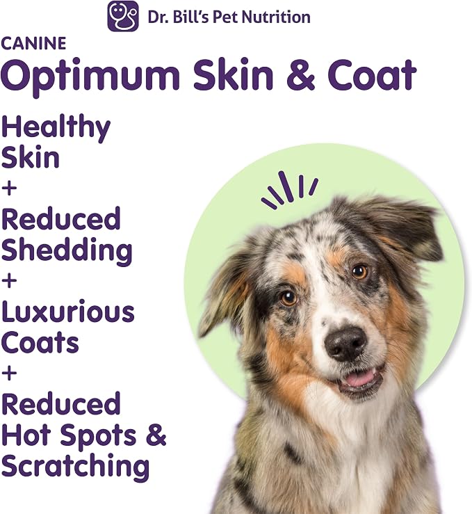 Dr. Bill's Canine Optimum Skin & Coat – Reduces Shedding, Itching, Dry Skin – Allergy Relief for Healthy Fur - Omega 3, Collagen, Biotin & Hyaluronic Acid – 340g Vet-Recommended Dog Supplement