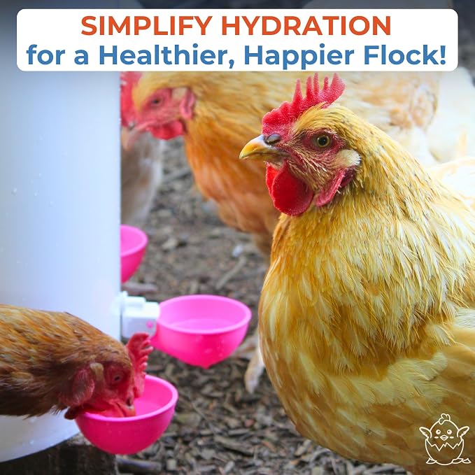 Lil'Clucker - Large Automatic Chicken Waterer Cups Suitable for Ducks, Geese, Turkeys, and Bunny Rabbit - Water Feeder Kit - Poultry Waterer (Pink, 8 Pack)