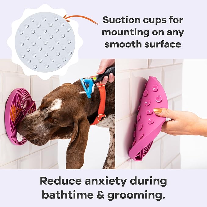 Lick Mat + Slow Feeder Bundle – Silicone, Non-Slip, and Dishwasher Safe - (1) Dog Lick Mat and (1) Slow Feeder Insert for Dog Bowls Over 5.5-Inches - with Suction Cups - Wet and Dry Food-Compatible