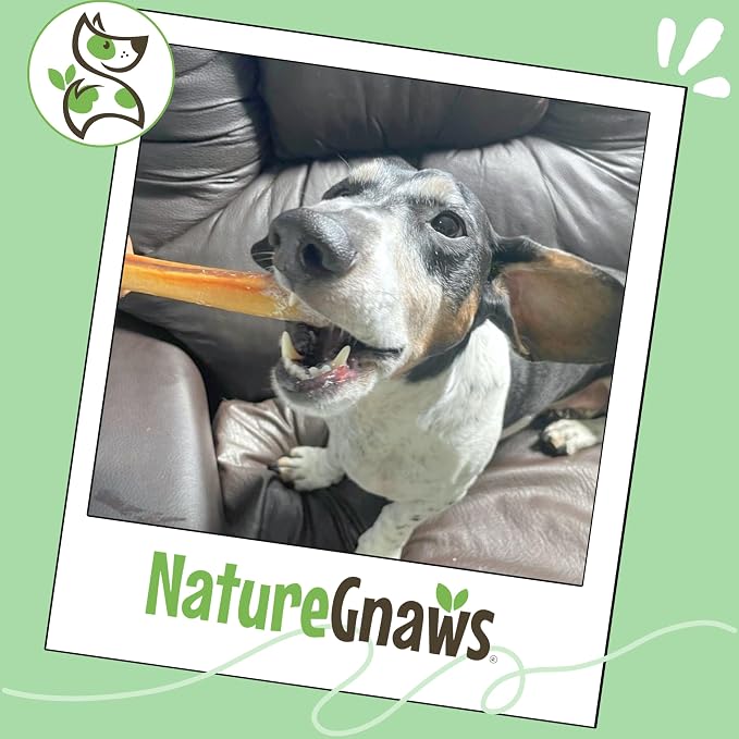 Nature Gnaws Thin Bully Sticks for Dogs 5-6" (1Lb) - Mixed Thickness - Long Lasting for Small Dogs and Puppies - Natural Thin Beef Dog Chew Bones - Rawhide Free