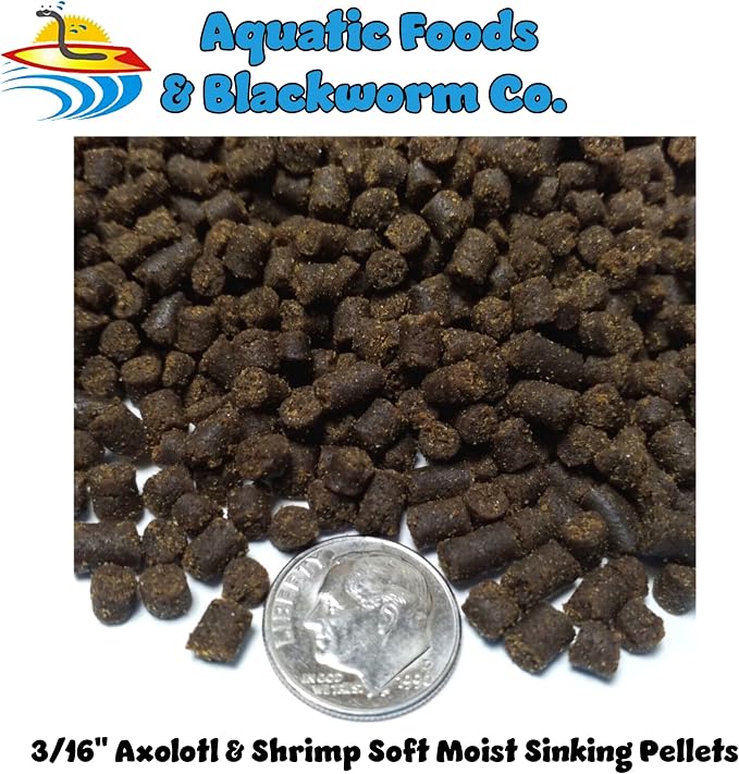 Axolotl Food, 3/16" Soft Moist Sinking Pellets, Rangen's Salmon Meal Pellets for Medium & Adult Axolotl. Also Shrimp, Snails, Crabs, All Tropical Fish...11oz Small Jar