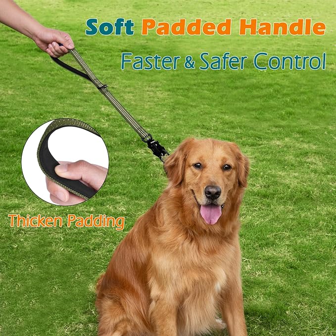PetBonus Heavy Duty 18 Inch Short Dog Leash and 2-Pack Large Silicone Collapsible Dog Bowls