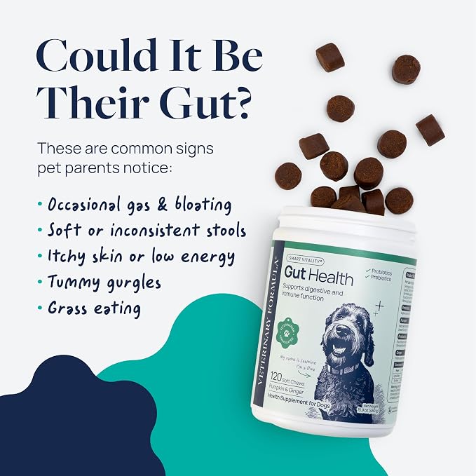 Veterinary Formula Gut Health Supplement for Dogs – Vet-Formulated Probiotic Chews with Digestive Enzymes & Fiber – Smart Vitality Supports Digestive Health, Gut Balance & Stool Quality, 60 Soft Chews