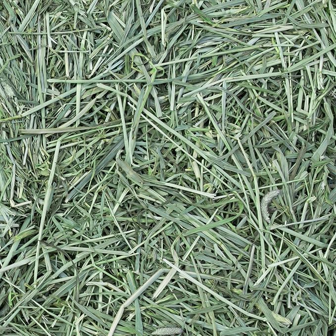 Eaton Pet and Pasture Naturally Grown, Premium, 1st Cut Blend, Western Timothy Hay Orchard Blend, Small Animal Food, Sustainable, Eco-Friendly, Farmer-Owned, 6LB-Box. (Pack of 2)