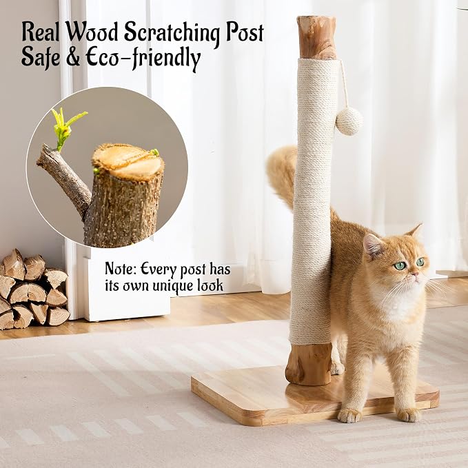 29" Tall Solid Wood Cat Scratching Post for Indoor Cats, Extra Stable Heavy Base, Natural Sisal Scratcher with Hanging Ball, Furniture Protector for Kittens & Adult Cats, White