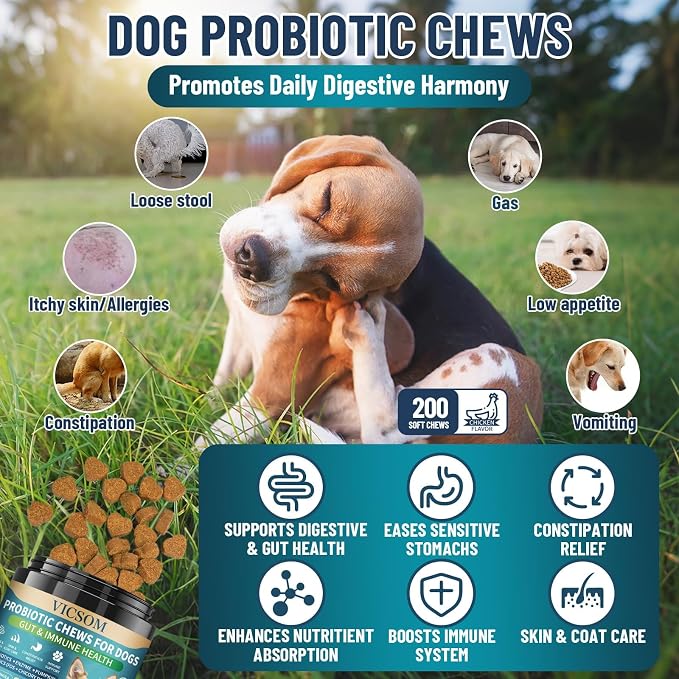 Dog Probiotics Chews + No Chew Spray for Dogs – Digestive & Behavior Support Bundle, Natural Gut Health Soft Chews with Probiotics & Enzymes and Bitter Apple Spray to Stop Chewing, Indoor & Outdoor Ca