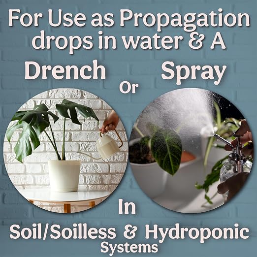 Organic Liquid Kelp & Seaweed Extract Prop Drop (Ecklonia Maxima) – Root + Plant Growth Hormone & Root Plant Food for Water Propagation, Hydroponics & Soil – 8oz 55 Gallons