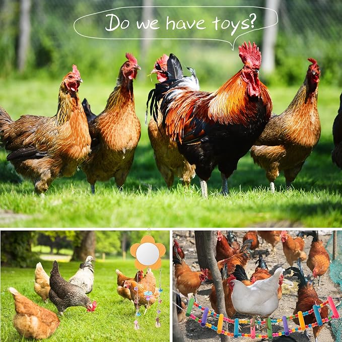 Chicken Toys for Coop 7PCS, KAKUNM Chicken Xylophone, Swing Set, Mirror Toy, Flexible Ladder, Vegetable String Bag and Hanging Feeder