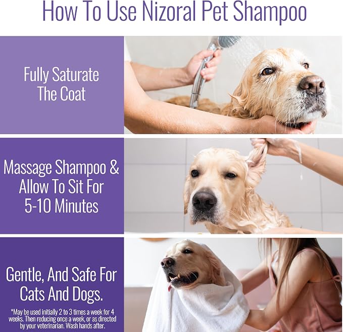Nizoral Ketoconazole Pet Shampoo for Dogs and Cats, 16 Oz, 1% Ketoconazole, 2% Chlorhexidine Gluconate, Antifungal, Antimicrobial Support, Skin Health, Odor Control, Dog Itching Skin Relief Shampoo