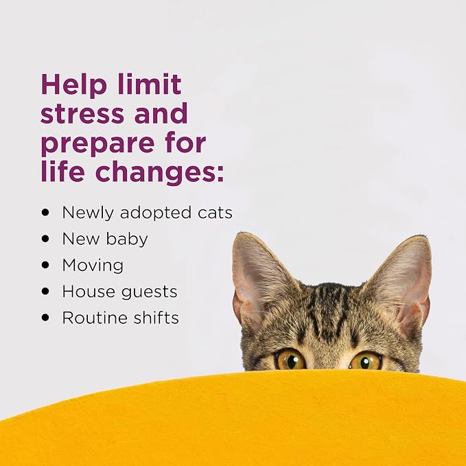 COMFORT ZONE Cat Calming Diffuser Refill – Pheromone Refills Help Reduce Anxiety, Stress, Scratching, Urine Marking, Aggression, (30-Day Refills, 1 Year Supply), (Pack of 12)