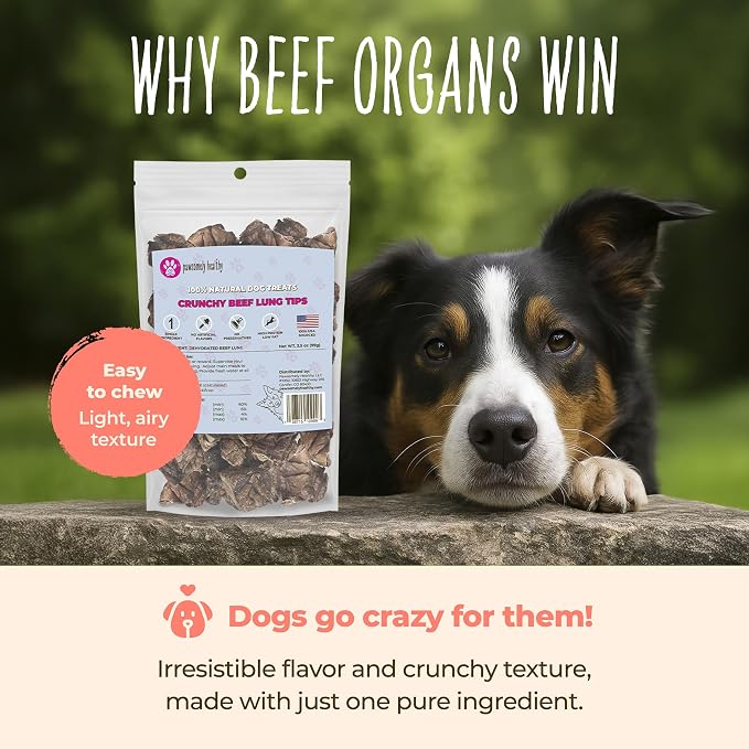 Pawsomely Healthy Beef Organ Treat Bundle – 100% Single Ingredient Variety Pack – Liver, Lung & Spleen – No Fillers or Additives, Grain-Free – High Protein Training Rewards – Made in USA, 3-Pack