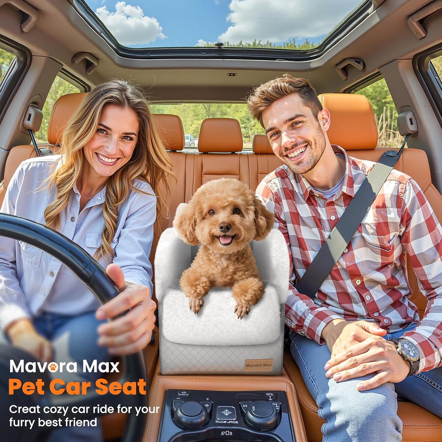 Portable Small Dog Seat for Car,Luxury Center Console Dog Car Seat Booster with Safety Tethers,Auti-Collapse Pet Travel Carrier for SUV,Truck.(Light Grey/White)