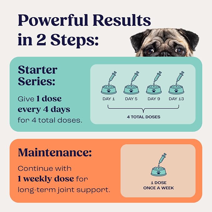 Summit Canine Joint and Mobility Supplement for Small Dogs, All Natural Liquid Chondroitin with Liposomal Delivery for Arthritis, Hip & Joint Support Vitamin, (Dogs <25lbs)