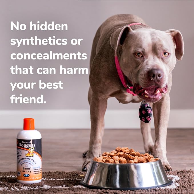 Dressing Best Hip and Joint Supplement for Dogs, Glucosamine & Chondroitin/Joint Health/Salmon Oil for Dogs Skin and Coat Health, Delicious Beef Gravy Flavor - 16 Oz Pack of 1