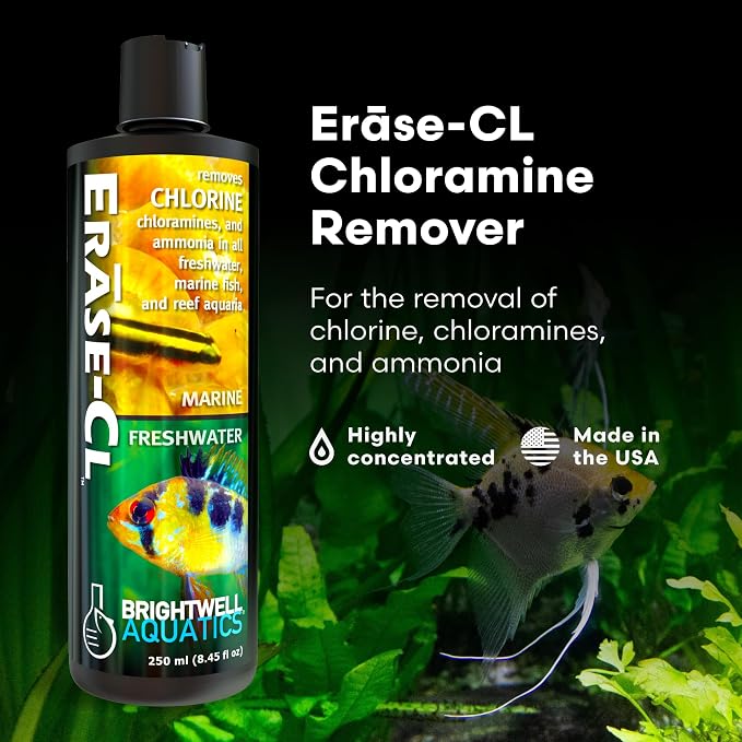 Brightwell Aquatics Erāse-Cl Aquarium Water Conditioner & Detox, 250 ml