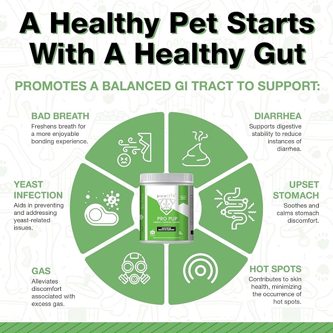 Probiotics for Dogs - Diarrhea Relief, Gut Health Support, Constipation Relief, Digestive Health Support - Vet Recommended Dog Probiotics - 240 Soft Chews that Dogs Love - Pumpkin Flavor