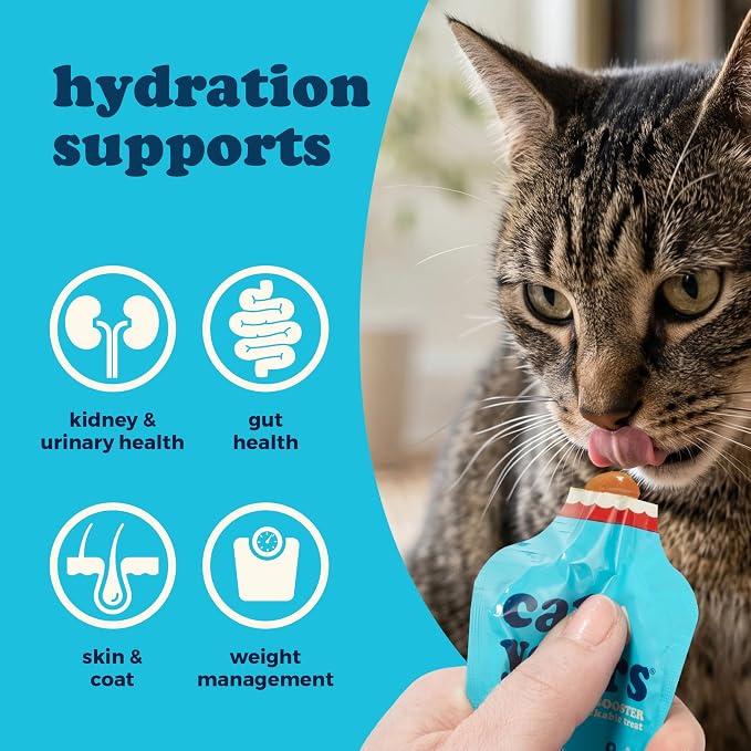 Cat Years Daily Lickable Cat Treat, Squeezable Hydration Booster, Supplement for Cats (Chicken & Tuna (Pack of 28))
