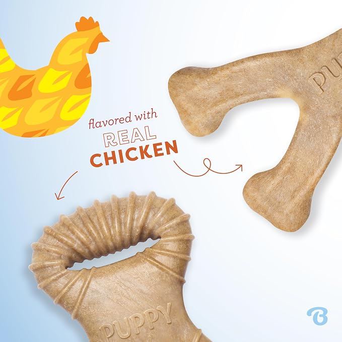 Benebone Puppy 2-Pack Dental Chew/Wishbone Durable Dog Chew Toys for Gentle Chewers, Real Chicken, Made in USA, Small