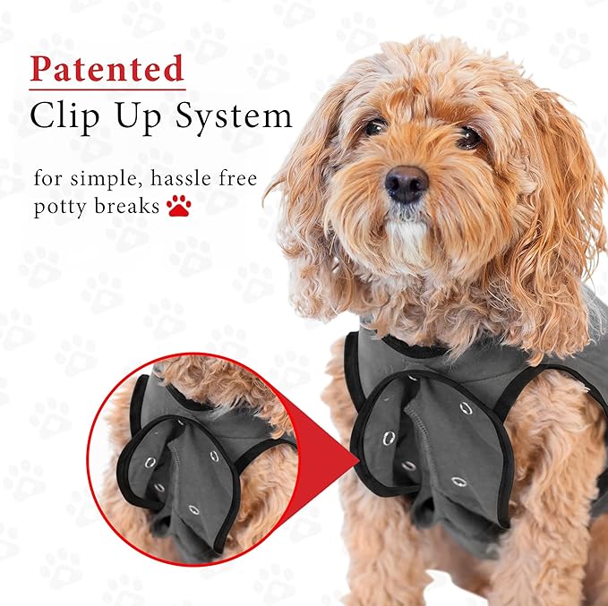 BellyGuard Dog Surgery Recovery Suit, Post-Op Dog Recovery Suit for Female Spay & Male Neuter, Comfy Onesie for Pets, Surgical Body Cover for Canine Healing Support