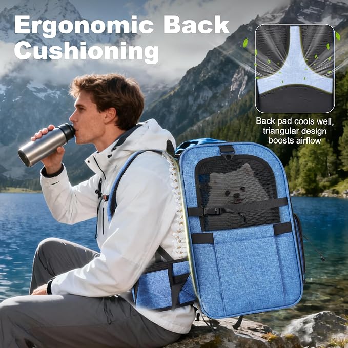 Dog Carrier Backpack for Small Dogs - Breathable Mesh Hiking Bag with Safety Buckle, Adjustable Straps and Standard Pad - Durable for Hiking (Fits Small Cats Too, Up to 17lbs, Blue)