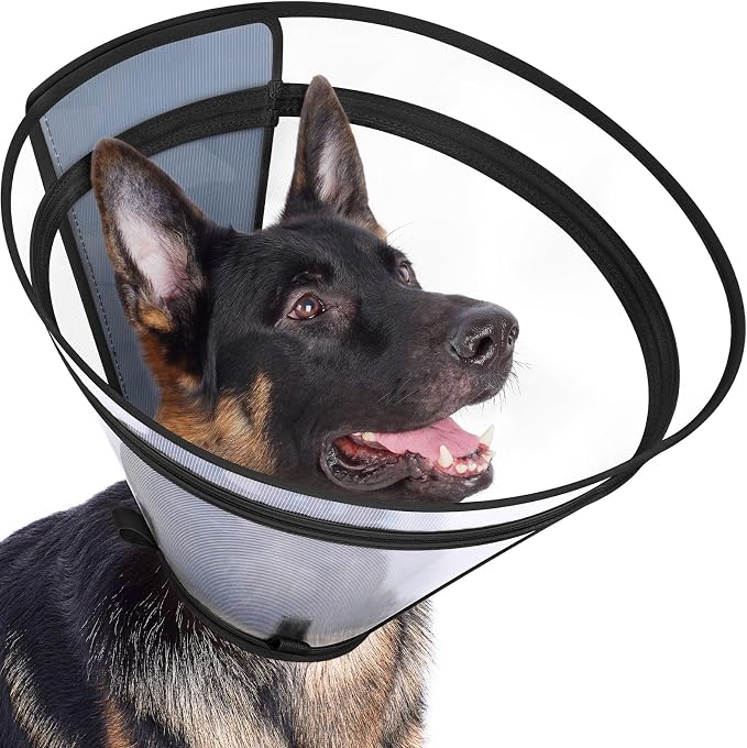 Dog Cone to Stop Licking, Clear Recovery Collar with Detachable Zipper, Sturdy Elizabethan Collar for Large Medium Small Dogs, Soft Adjustable Cone After Surgery Patented, Black S