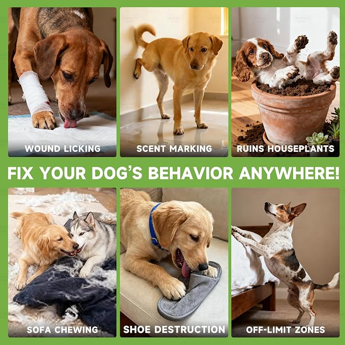 Bitter Dog No Chew Spray, Dog Deterrent Spray for Furniture & Carpet, Puppy Corrector & Training Spray for Dogs & Puppies, Safe & Natural, Prevent Peeing, Biting, Chewing & Licking Injuries, 2 Bottles