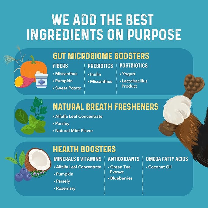Bernie's Charming Chompers - Daily Dental Chews for Dogs 51-100 Lbs. - 12 Count - Cleans Teeth, Freshens Breath, + Boosts Oral-Gut Microbiome. Easy to Digest, Supports Healthy Digestion Naturally