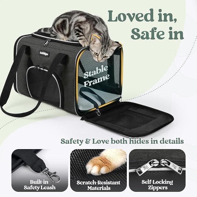 rabbitgoo Cat Carrier Soft Sided, Stable Portable Pet Carrier with Safety Buckles for Car Travel Vet Visit Airline, Comfortable Breathable Kitten Bag for Small Medium Cat, Black, 17x11x11 inch