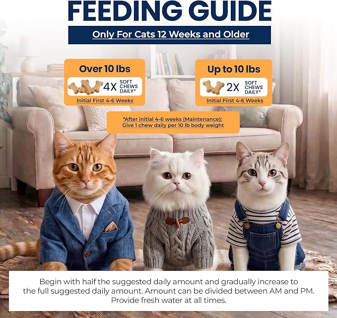 Hip & Joint Soft Chews for Cats Joint Support & Mobility 60 Count