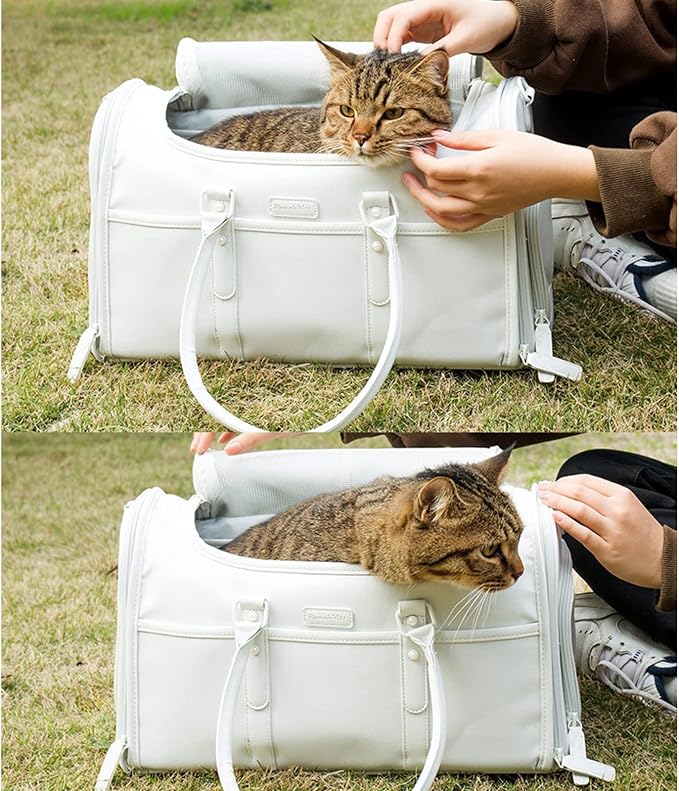 Cat Carrier Travel Soft Sided for Small Cats and Dogs,Portable Foldable Pet Carrier Travel Bag, Breathable Airline Approved Dog Transport Carrier with Shoulder Strap 42X23x22cm L/W/H