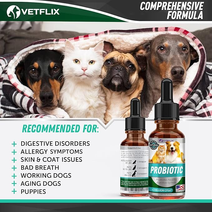 Premium Probiotics Liquid for Dogs, Cats, Puppies and Kittens, 2 Fl Oz | Digestive Enzymes, Prebiotics Supplement, Supports Digestive Health, Gut Balance