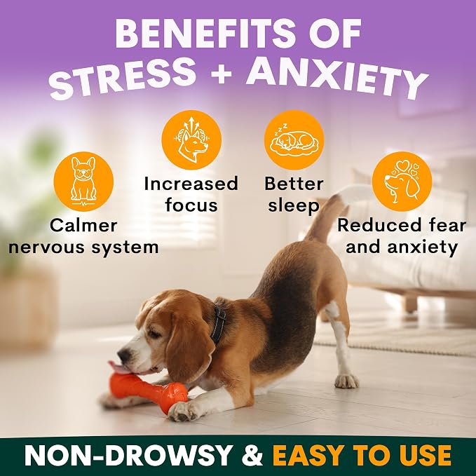 Petz Park Stress + Anxiety Dog Calming Supplement 45 Scoops, Anxiety Supplement, Dog Calming Supplement for Stress Support, Calming Food Topper for Dry or Wet Food, Made in Australia, 3.2oz Powder