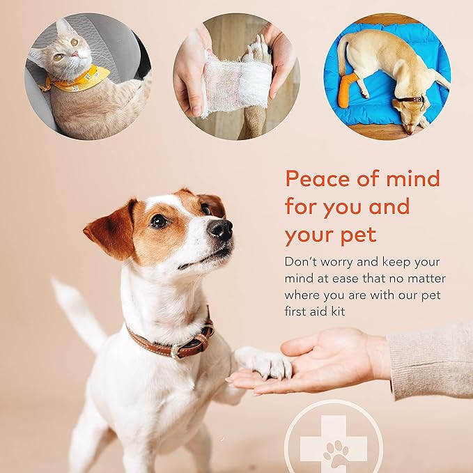 ARCA PET Dual First Aid Kit Bundle – Home, Travel, and Outdoor Emergency Essentials
