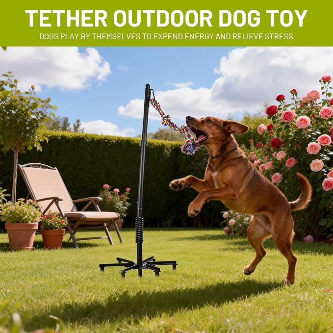 Upgrade Tether Tug Outdoor Dog Toy,Outdoor Tug Of War Toy in Park,Yard,Lawn,Tether Interactive Dog Tug Toy,2 Rope Toy and Bell Pull Chase and Solo Play,Tether Tug For Large Dogs,For Medium Small Dogs