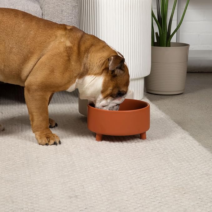 Waggo Uplift Ceramic Dog Bowl for Small Medium and Large Breeds - Heavyweight and Durable Pet Food and Water Dish Crock, Dishwasher Safe, Modern, Elevated Feeder (Olive, Medium)