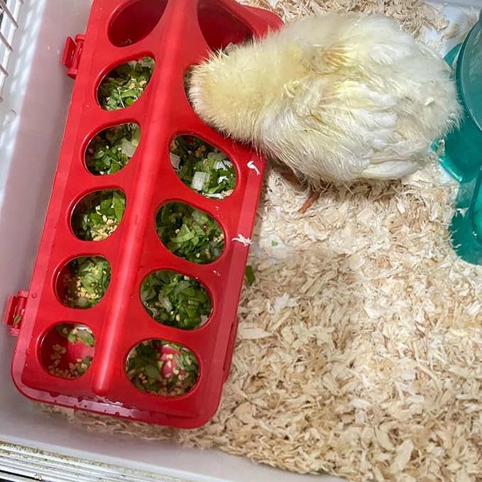 Oncpcare Poultry Feeder and Waterer Set, 4 Pack Chick Feeders and 2 Pack 3L Chicken Waterers Combo Kit | No Spill, Easy Fill Design for Baby Chicks, Ducklings, Quail, Pigeons, Small Poultry Brooder