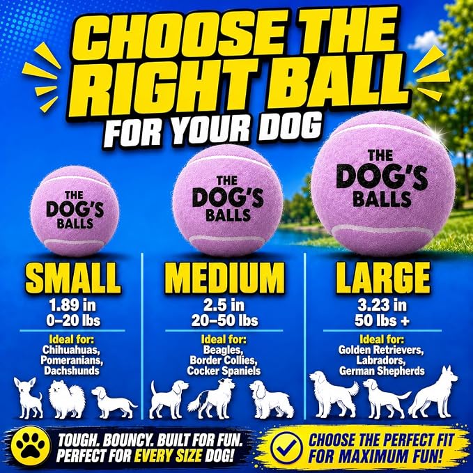 The Dog's Balls Dog Tennis Balls Tough 2.5" 12-Pack Purple Floats in Water | Our fetch balls combine non-abrasive felt exterior and a thicker rubber core Durable Dog Toy for Outdoor Play & Training