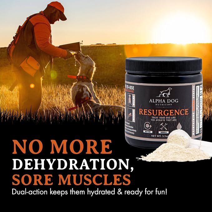 Active K9 Bundle: Free Range Joint Support + Resurgence Electrolytes
