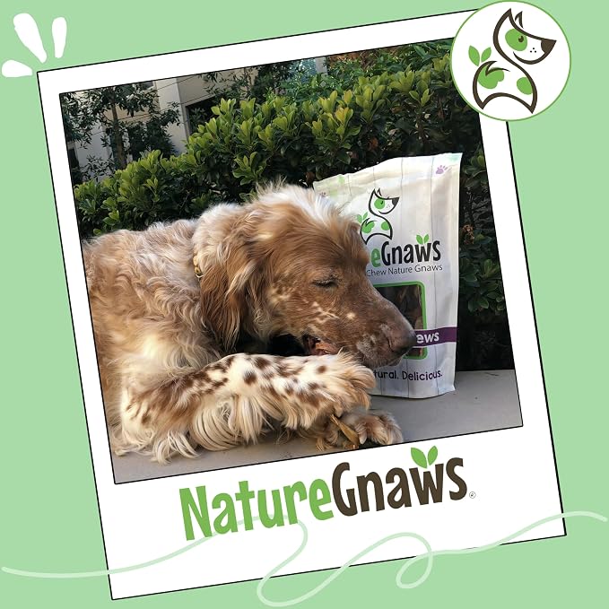 Nature Gnaws Variety Pack for Large Dogs (12 Count) - Bully Sticks, Beef Tendons and Tripe Twists for Dogs - Natural Long Lasting Beef Dog Chew Bones - Rawhide Free