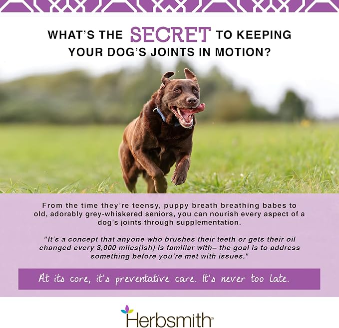 Herbsmith Sound Dog Viscosity – Advanced Joint Support for Dogs – Veterinarian Recommended Glucosamine for Dogs, Hyaluronic Acid, Chondroitin, MSM – Natural Arthritis Pain Relief – 500g Powder