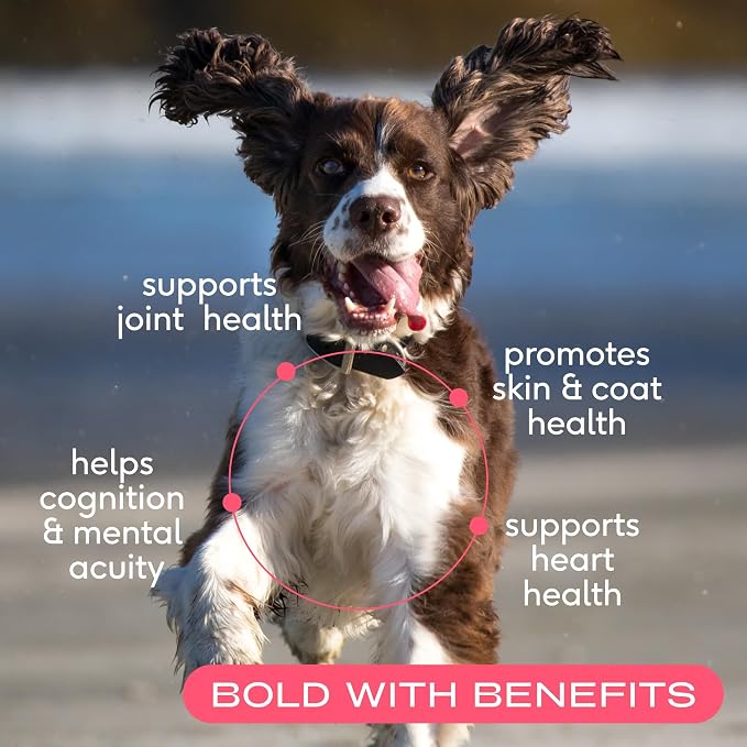 Native Pet Skin & Coat Support Pack Bundle: 60 Scoops GutWell Itchy Skin - Dog Itching Skin Relief & Seasonal Allergy Itch Relief & 8 Oz. Salmon Oil for Dogs & Cats – Pure Omega-3 Fish Oil