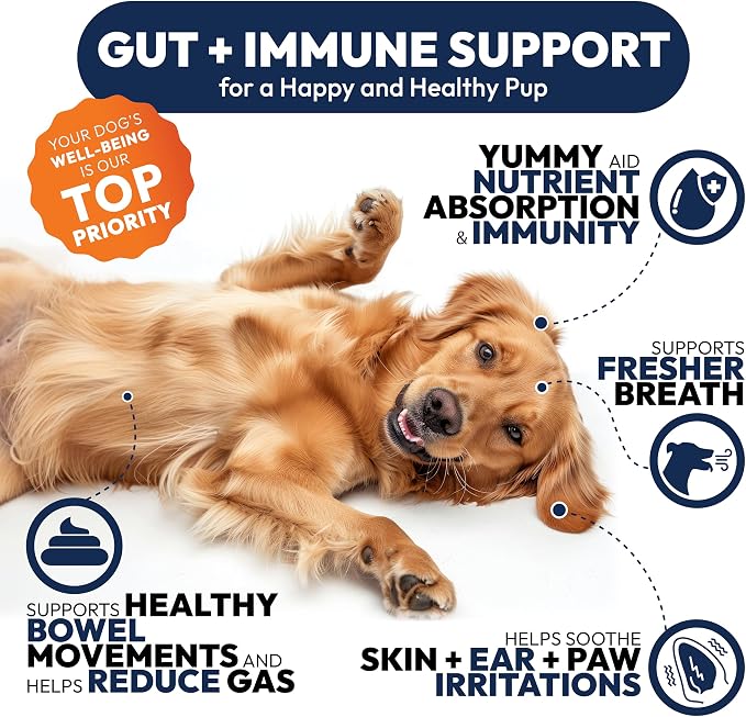 Probiotics for Dogs - 250 Dog Probiotics Chews - Digestive Enzymes & Prebiotics - Support Gut Health, Diarrhea, Gas & Constipation Relief - Itchy Skin, Allergies, Yeast Balance - Advanced Supplement