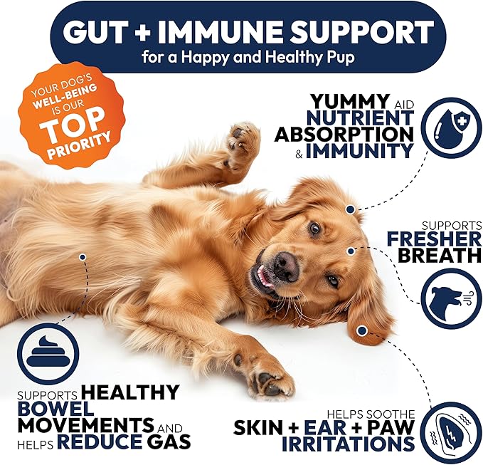 Probiotics for Dogs - 170 Dog Probiotics Chews - Digestive Enzymes & Prebiotics - Support Gut Health, Diarrhea, Gas & Constipation Relief - Itchy Skin, Allergies, Yeast Balance - Advanced Supplement